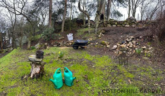 PRVNÍ RODODENDRON PŘESTĚHOVAN A ZASAZEN