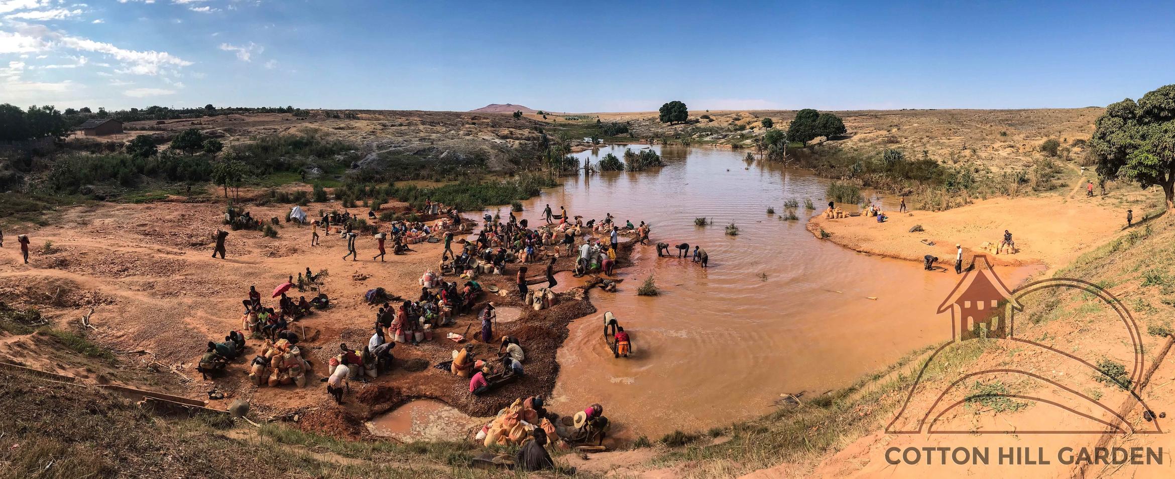 MADAGASKAR - RÝŽOVIŠTĚ POLODRAHOKAMŮ
