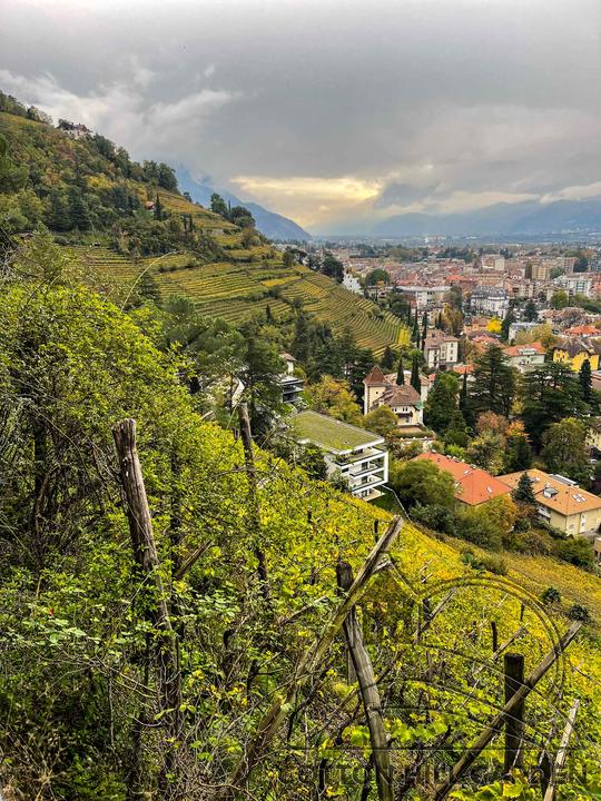 MERANO .- VINIČNÍ TRATĚ