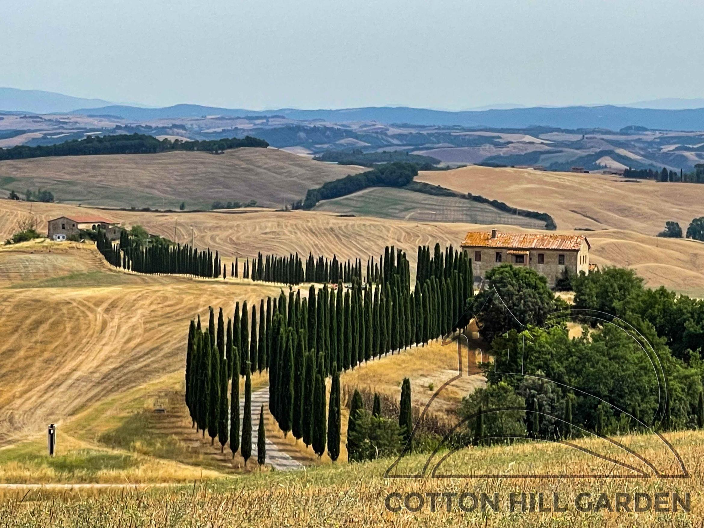 TOSKÁNSKO - OKOLÍ ASCIANA