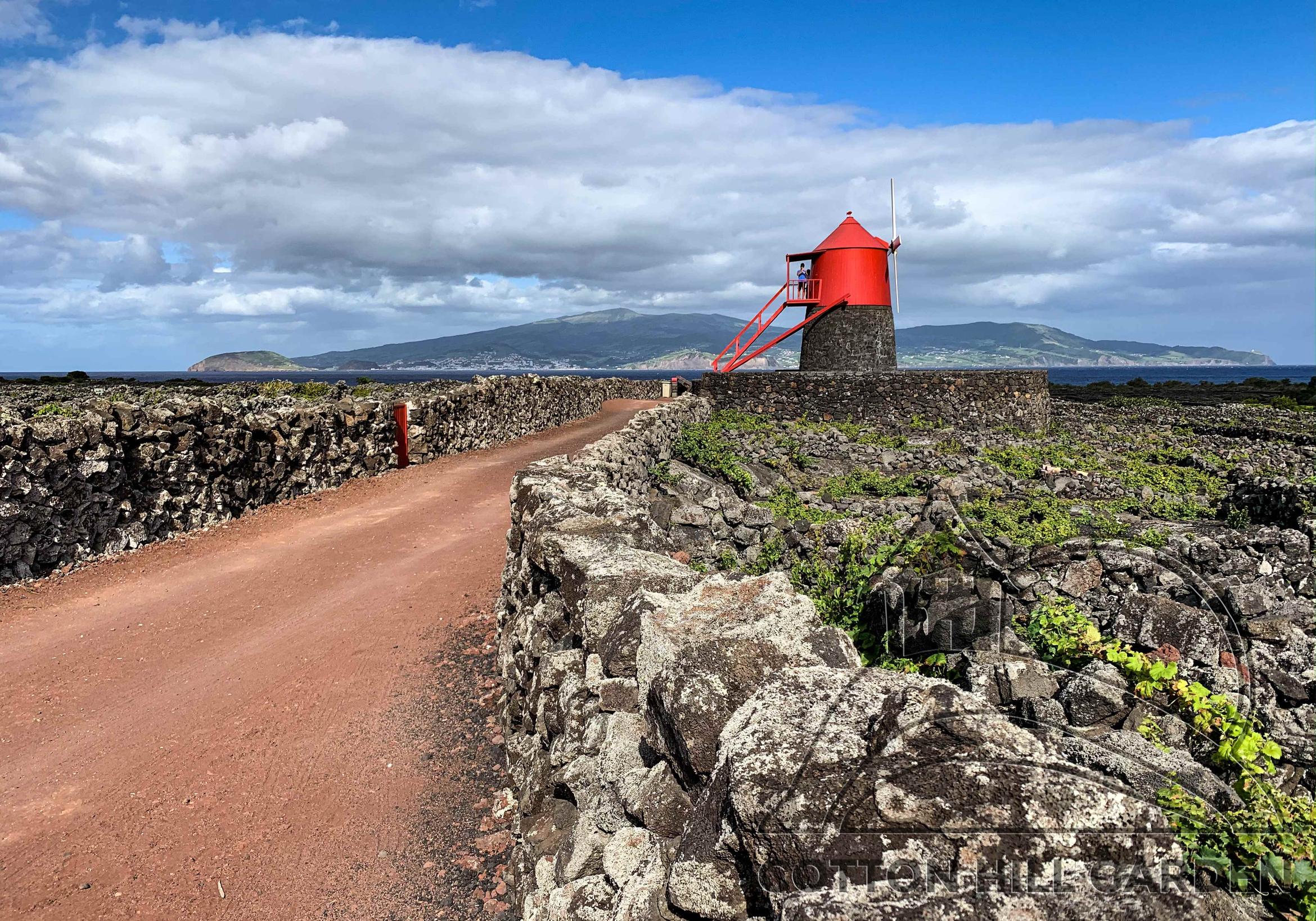 AZORSKÉ OSTROVY - PICO - LÁVOVÉ VINICE