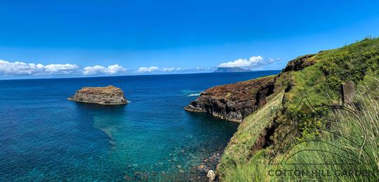 PONTA DELGADA DE FLORES