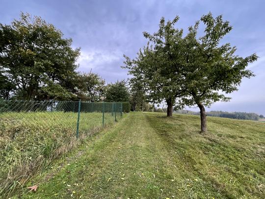 STAV CESTY PŘED AKCÍ 11/23